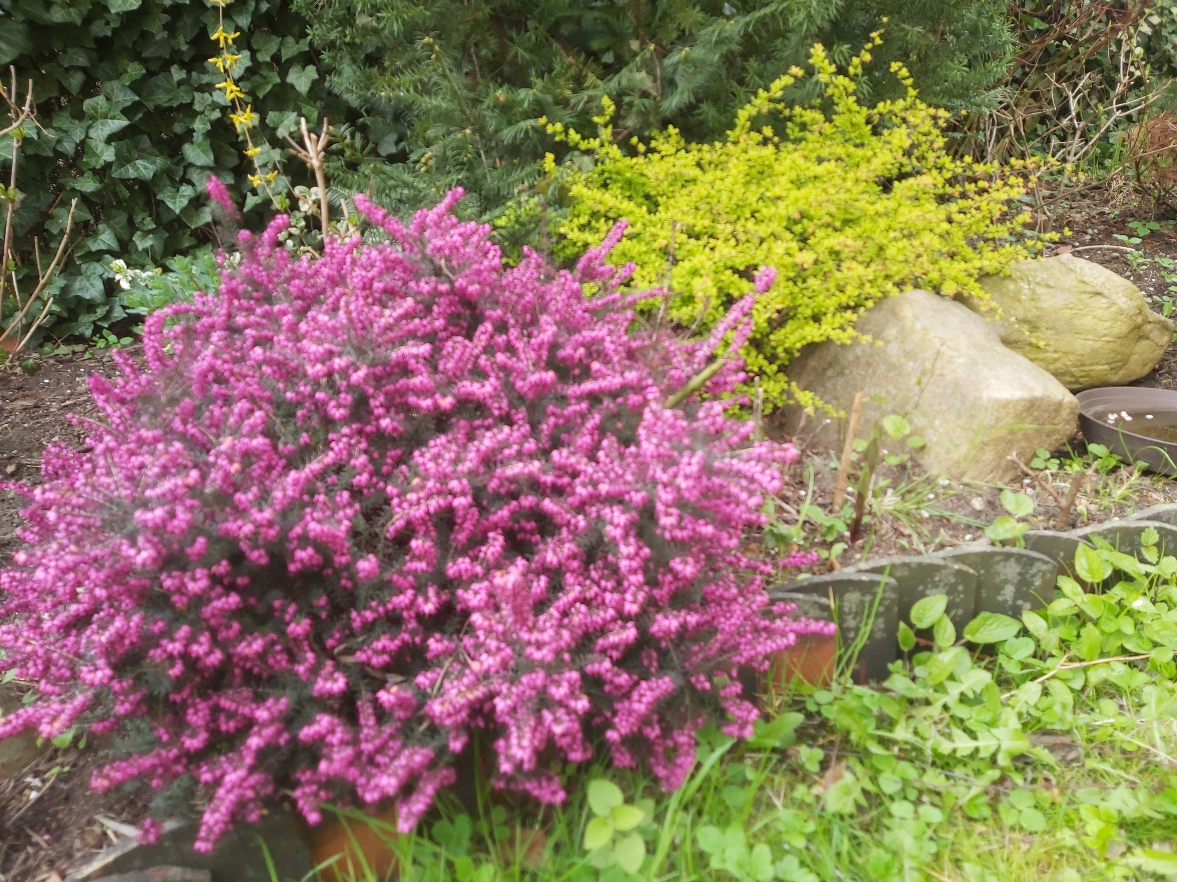 Wojciech Prostak 7A.jpg